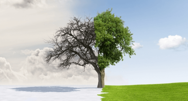 Scrum vs Waterfall: What’s the Difference? | Hygger Blog Scrum vs Waterfall: What’s the Difference?