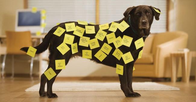 Kanban For Product Development – Success Or Failure? | Hygger Blog Kanban For Product Development – Success Or Failure?