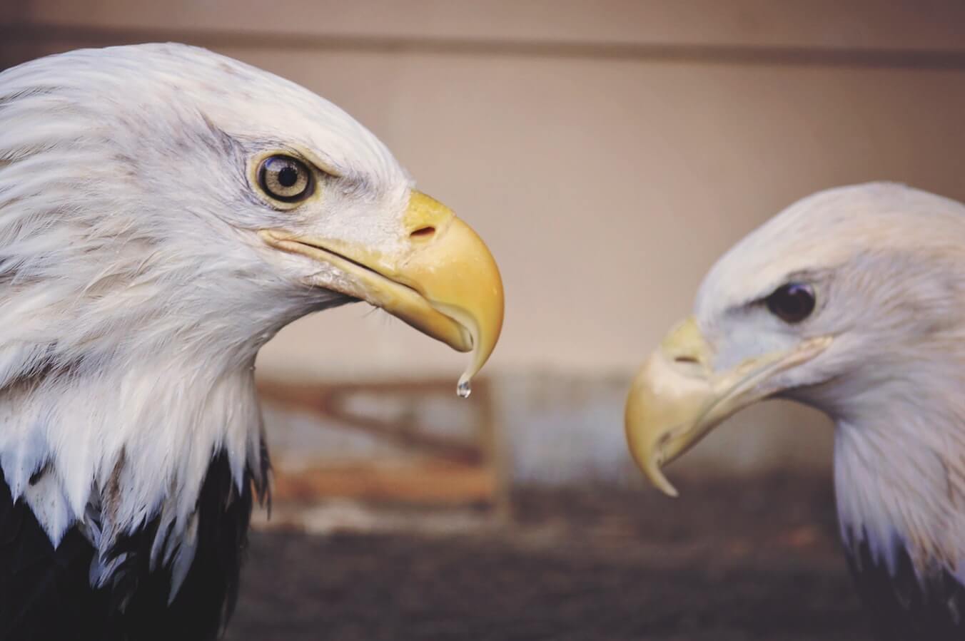 Lean vs Kanban: The Difference | Hygger Blog Lean vs Kanban: The Difference