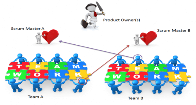 Team Member in Scrum | Hygger Blog Team Member in Scrum