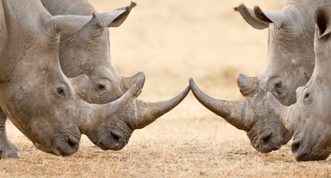 5 Ways to Minimize Disagreements between Stakeholders During Defect Reviews | Hygger Blog 5 Ways to Minimize Disagreements between Stakeholders During Defect Reviews