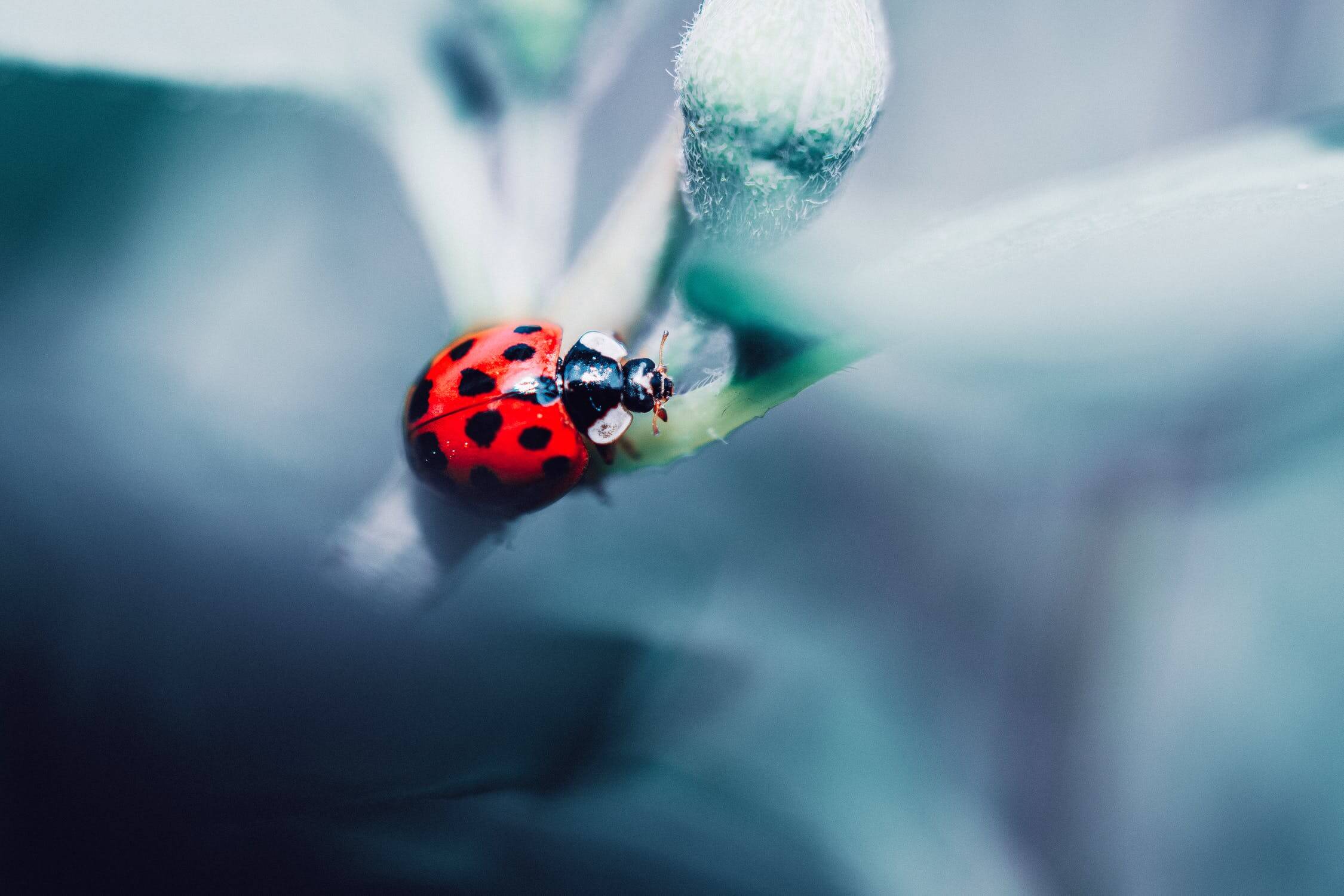 What is a Bug Tracking System? | Hygger Blog What is a Bug Tracking System?