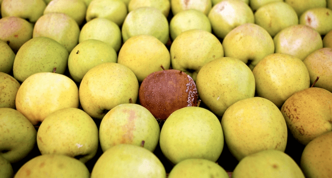 Bad Apple: How to Deal with Negative Agile Team Members | Hygger Blog Bad Apple: How to Deal with Negative Agile Team Members