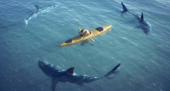 Jumped the Shark? 3 Signs Your Project Can’t Be Saved | Hygger Blog Jumped the Shark? 3 Signs Your Project Can’t Be Saved