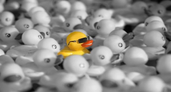8 Ways to Become A Stand-Out Leader and Unlock Your Potential | Hygger Blog 8 Ways to Become A Stand-Out Leader and Unlock Your Potential