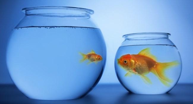 Big or Little “A”: What Kind of Agile Marketing Are You? | Hygger Blog Big or Little “A”: What Kind of Agile Marketing Are You?