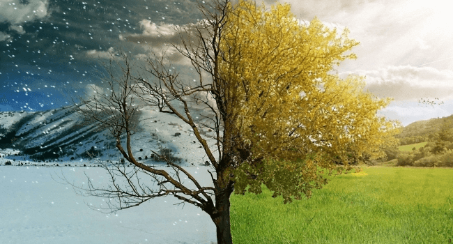 Traditional vs Dynamic Project Management: Do You Need to Change? | Hygger Blog Traditional vs Dynamic Project Management: Do You Need to Change?