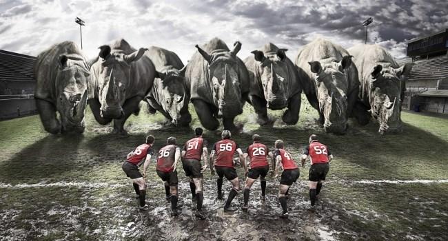 5 Simple Tips to Help Your Agile Team Succeed | Hygger Blog 5 Simple Tips to Help Your Agile Team Succeed