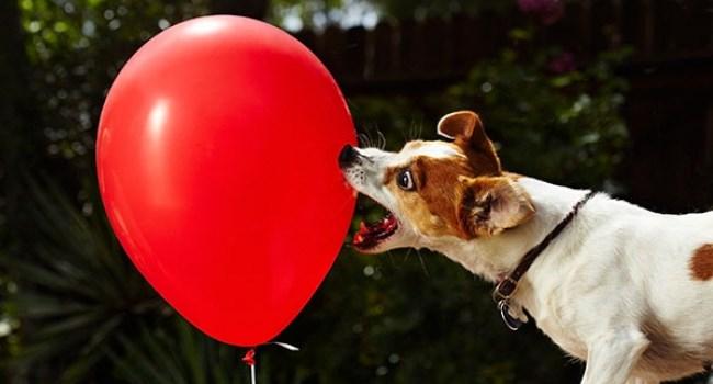 7 Worst Mistakes that Blow Up your Agile Projects | Hygger Blog 7 Worst Mistakes that Blow Up your Agile Projects