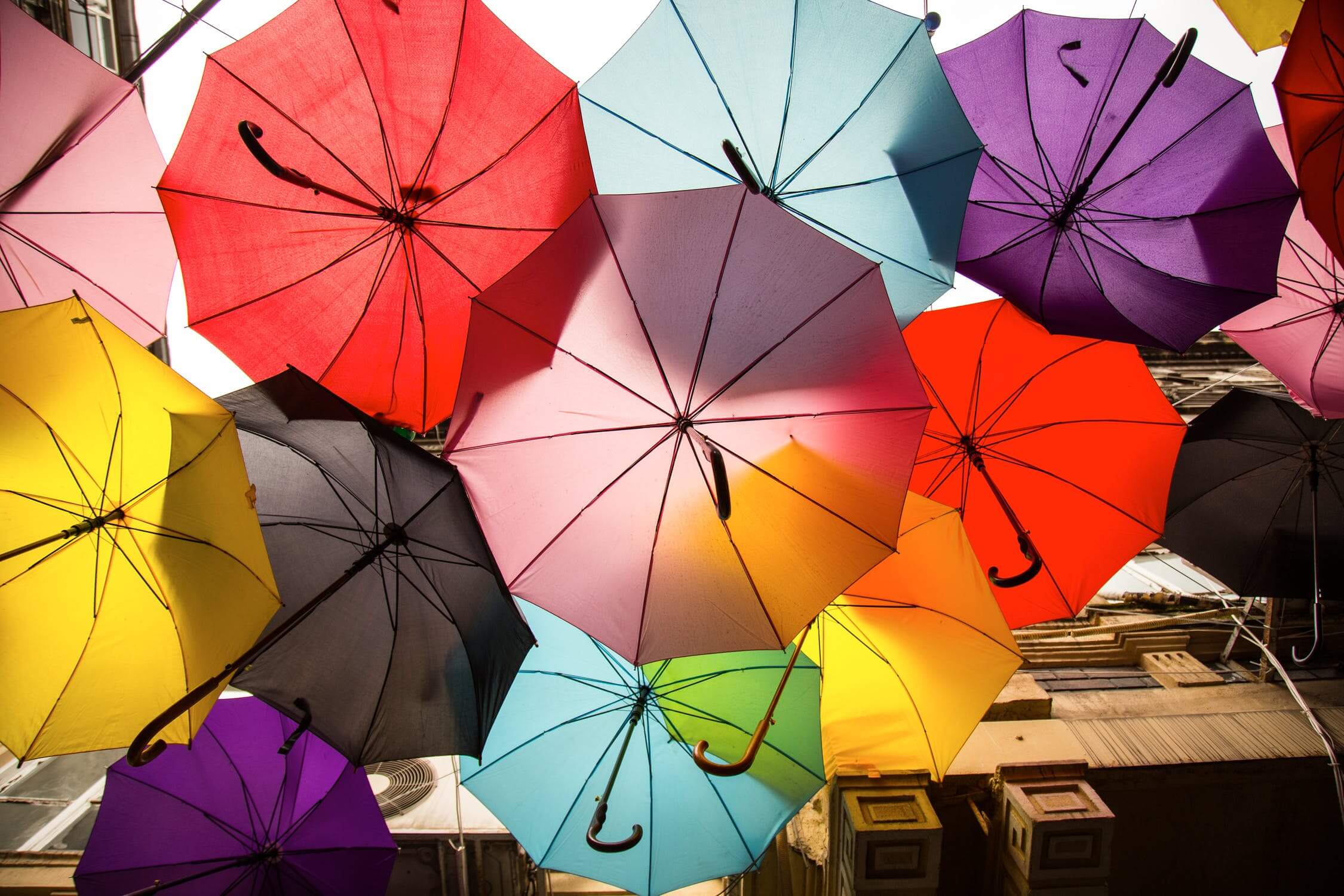 Know the Difference: A Quick Guide to Agile Software Development Methodologies | Hygger Blog Know the Difference: A Quick Guide to Agile Software Development Methodologies