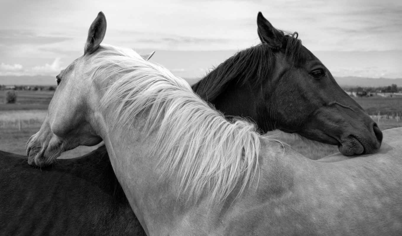 Scrum vs Kanban: Pointless Fights All Agile Teams Have | Hygger Blog Scrum vs Kanban: Pointless Fights All Agile Teams Have