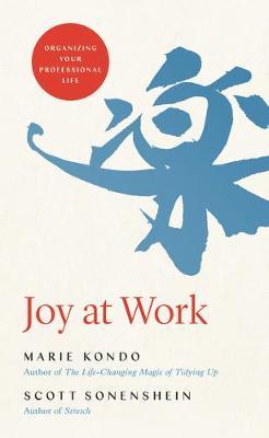 Joy at work book