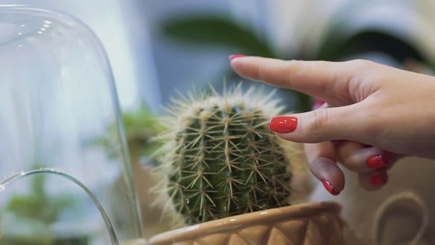How to Turn Customer Pain Points into a Win-win Solution? Tips & Examples | Hygger Blog How to Turn Customer Pain Points into a Win-win Solution? Tips & Examples