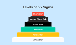 The Hierarchy of Six Sigma Belts: What Does It Mean? | Hygger.io