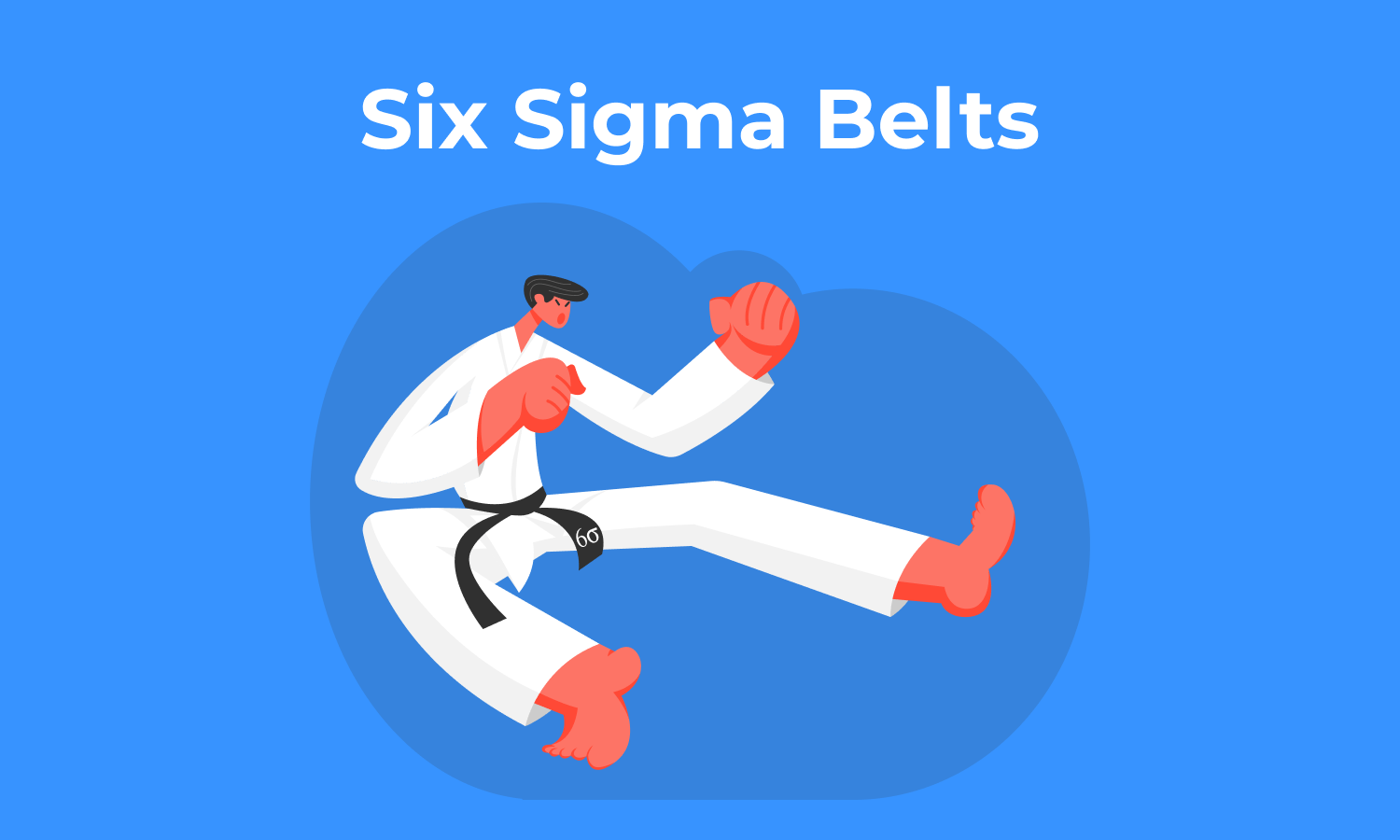 Six sigma outlet belts