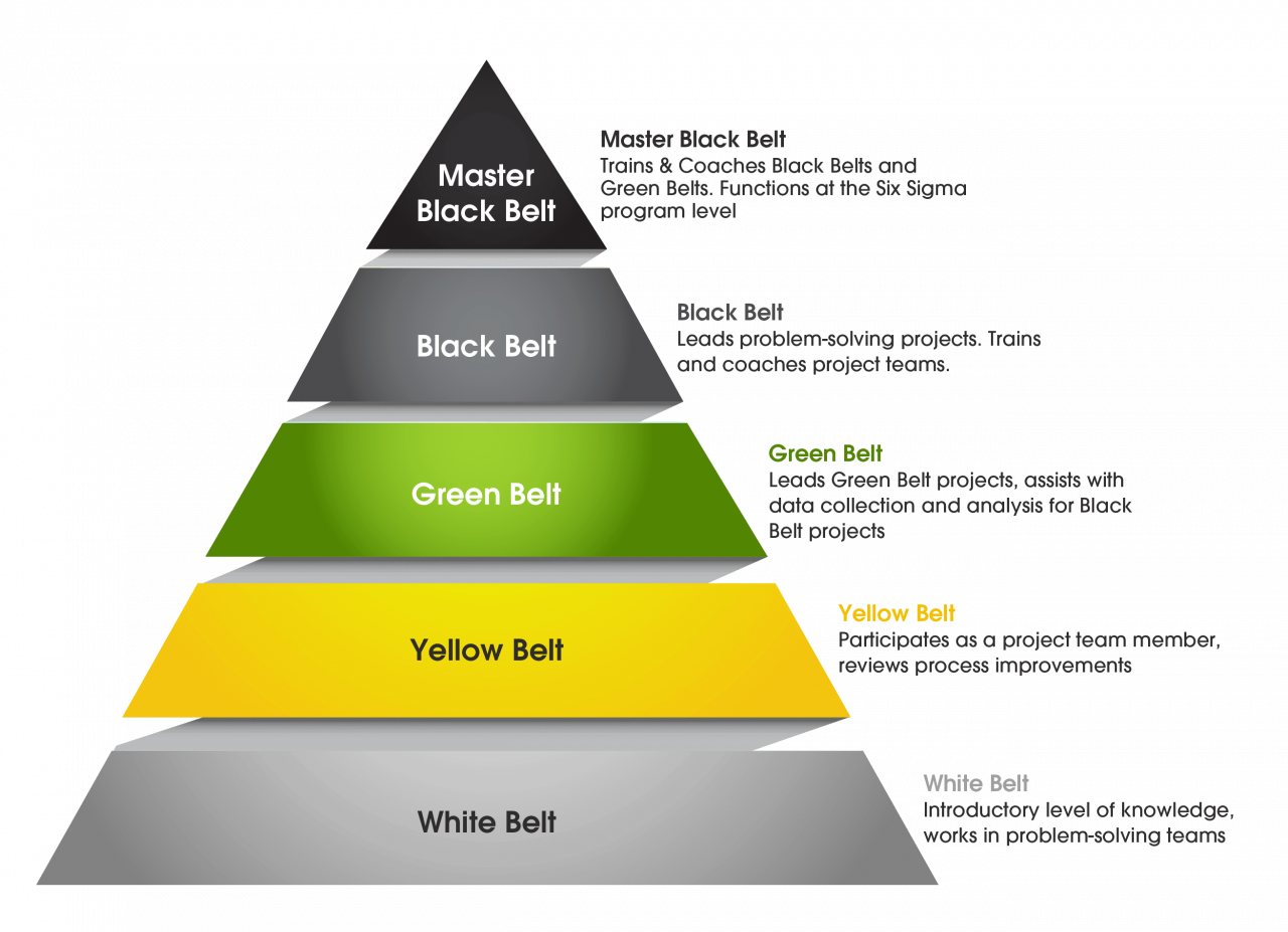 six sigma belts ppt