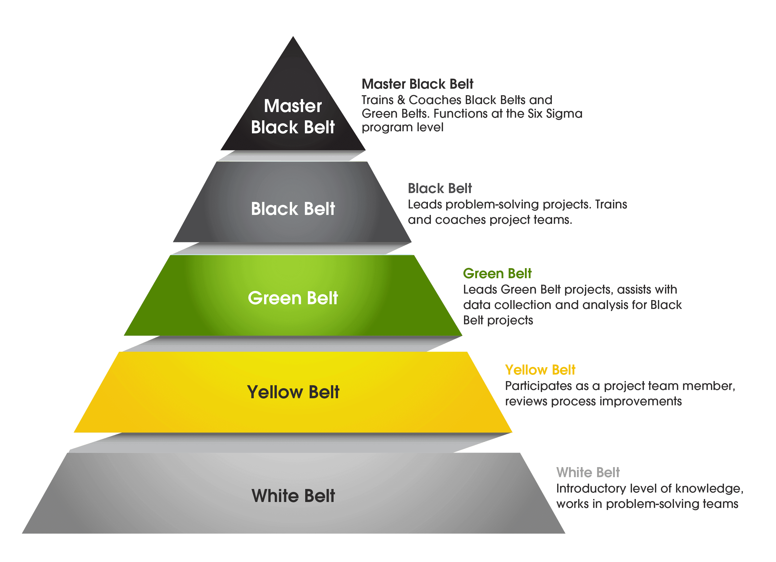 lean six sigma black belt examen