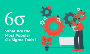 What Are The Most Popular Six Sigma Tools? | Hygger.io