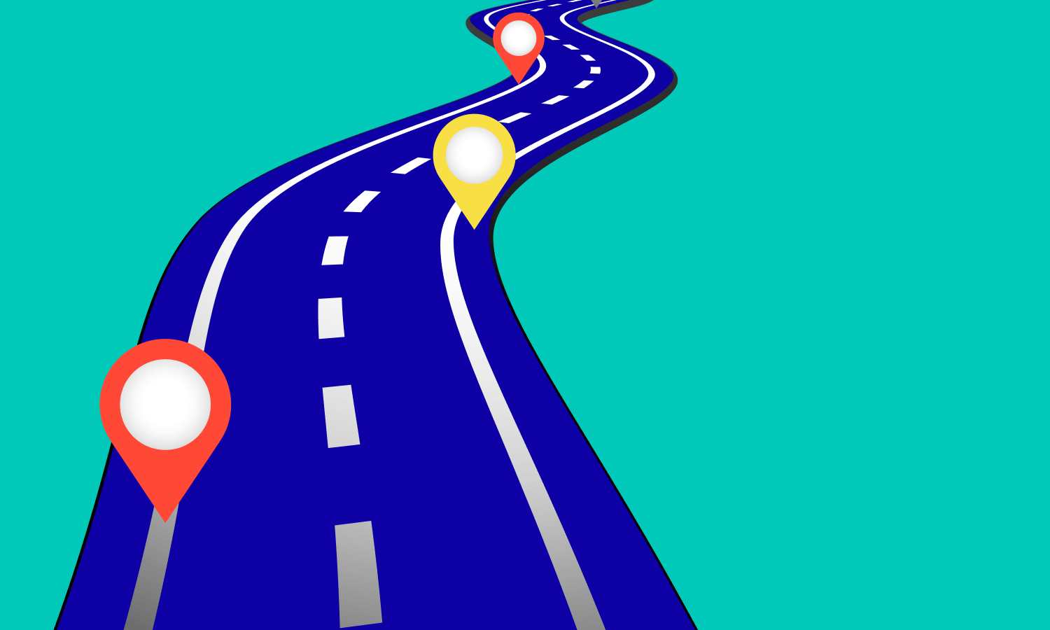 What are product roadmaps?