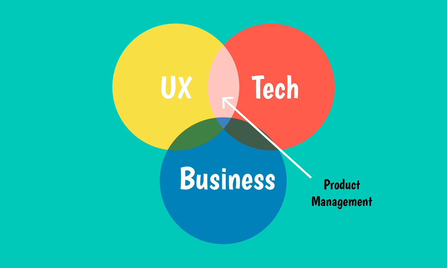 What are product managers?